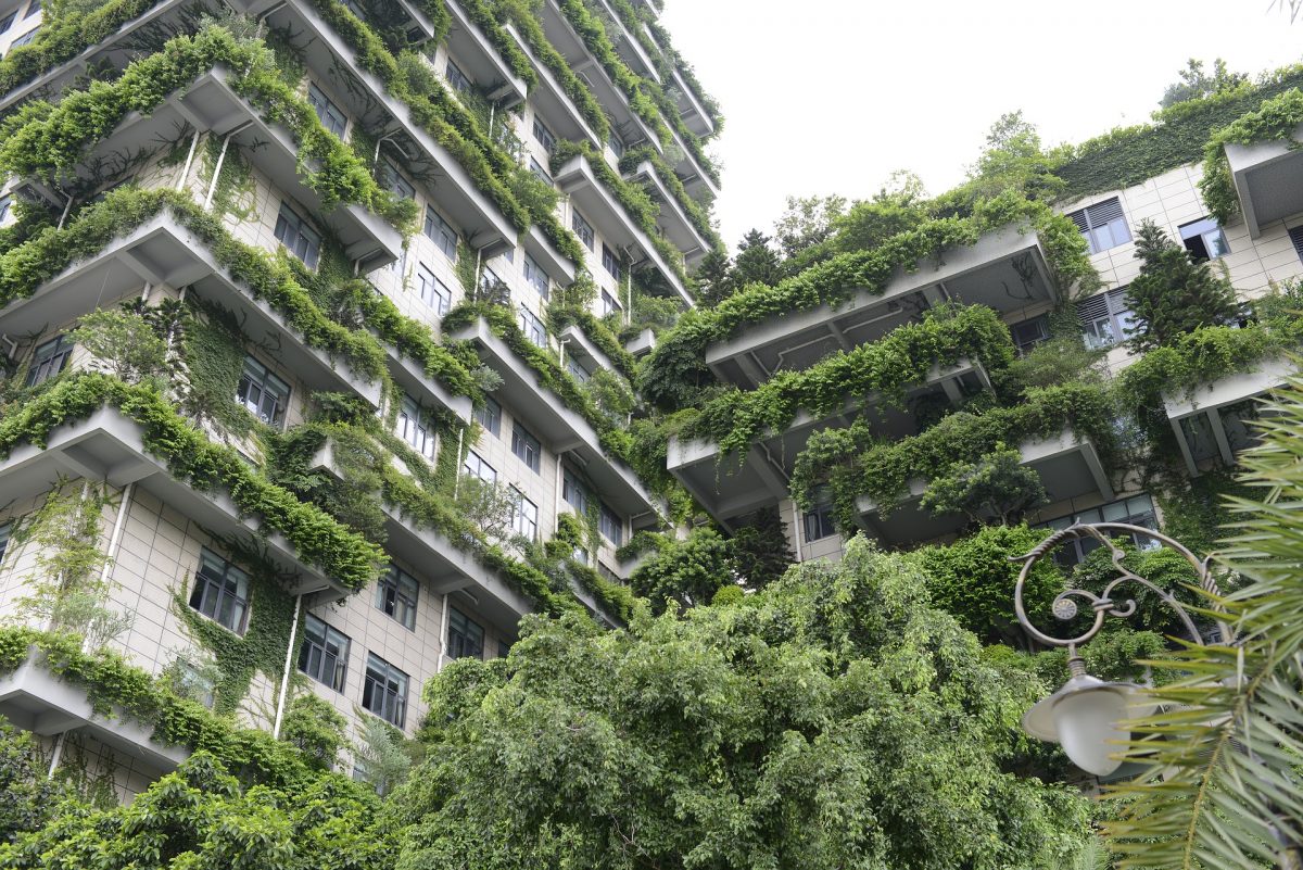 Why  green cities   need to become a deeply lived 